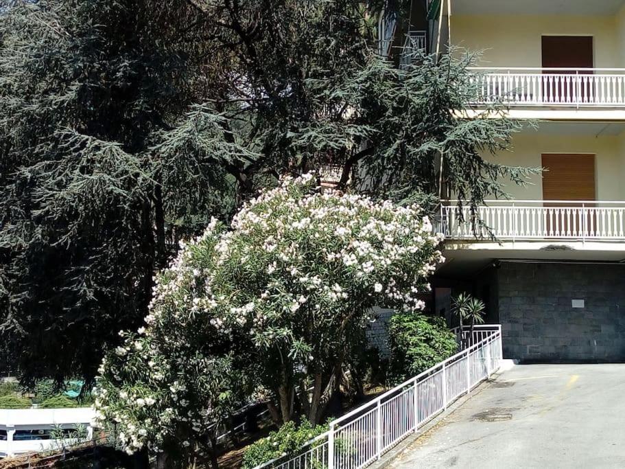 Alma Vacanza Rapallo Zewnętrze zdjęcie